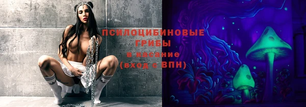 стаф Куйбышев