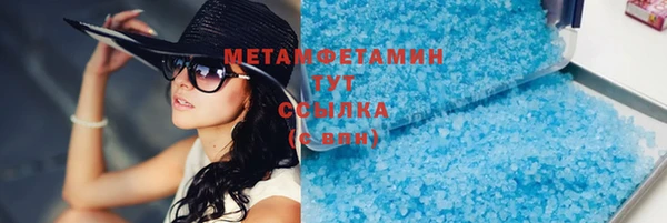 сатива Кулебаки