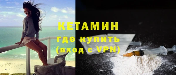 сатива Кулебаки