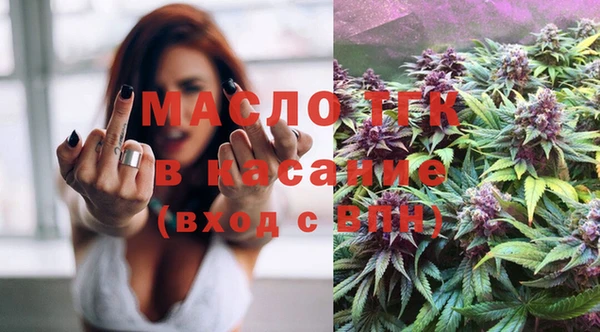 сатива Кулебаки