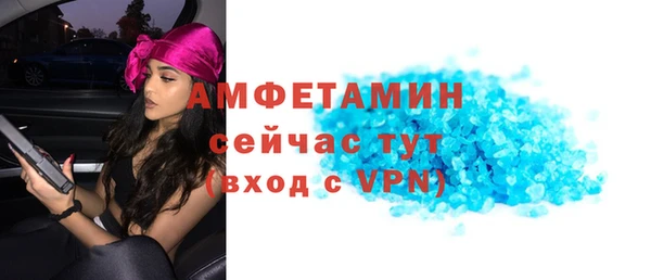 сатива Кулебаки