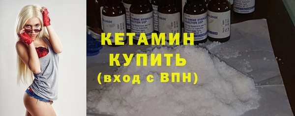 сатива Кулебаки