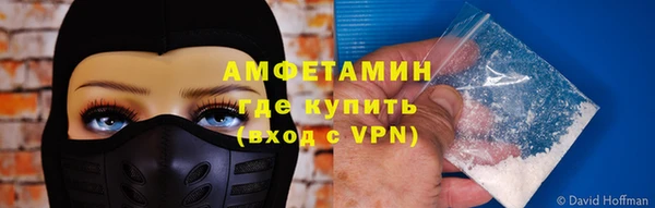 сатива Кулебаки