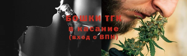 сатива Кулебаки
