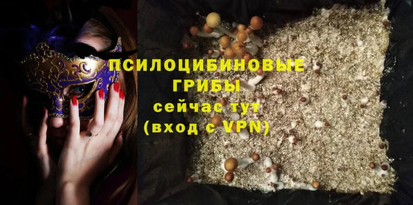 сатива Кулебаки