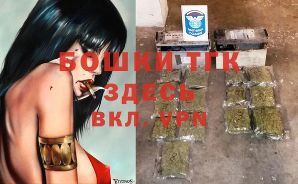 сатива Кулебаки