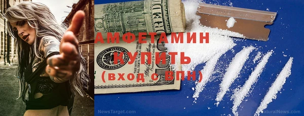 сатива Кулебаки