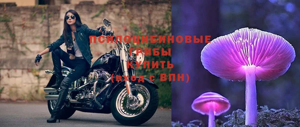 стаф Куйбышев