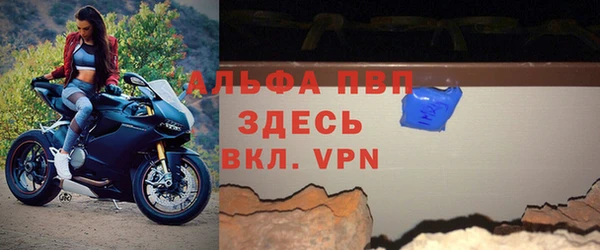 сатива Кулебаки