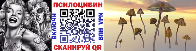 Псилоцибиновые грибы Psilocybe  kraken зеркало  Горячеводский 